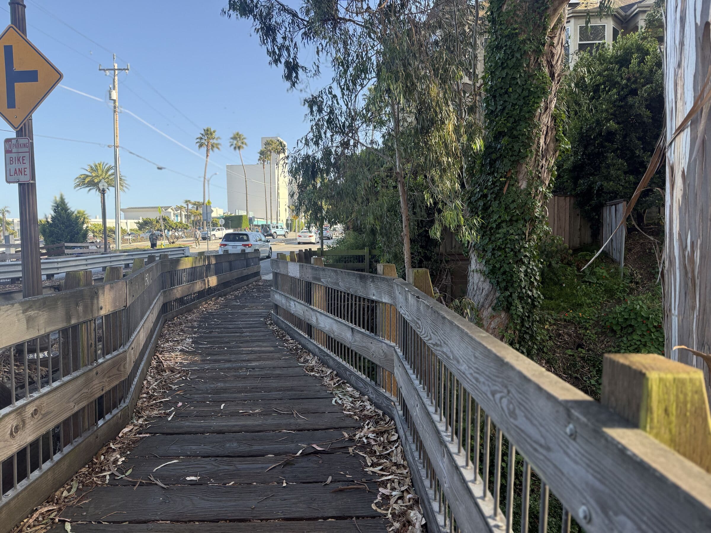 Wooden walkway path in Santa Cruz