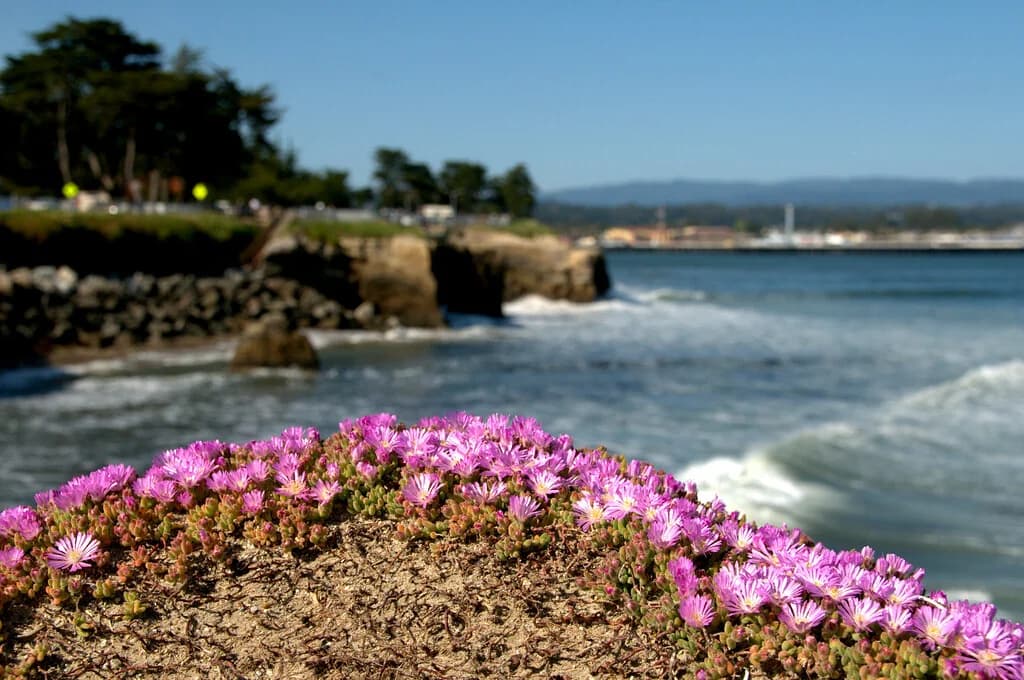 Business growth and scaling