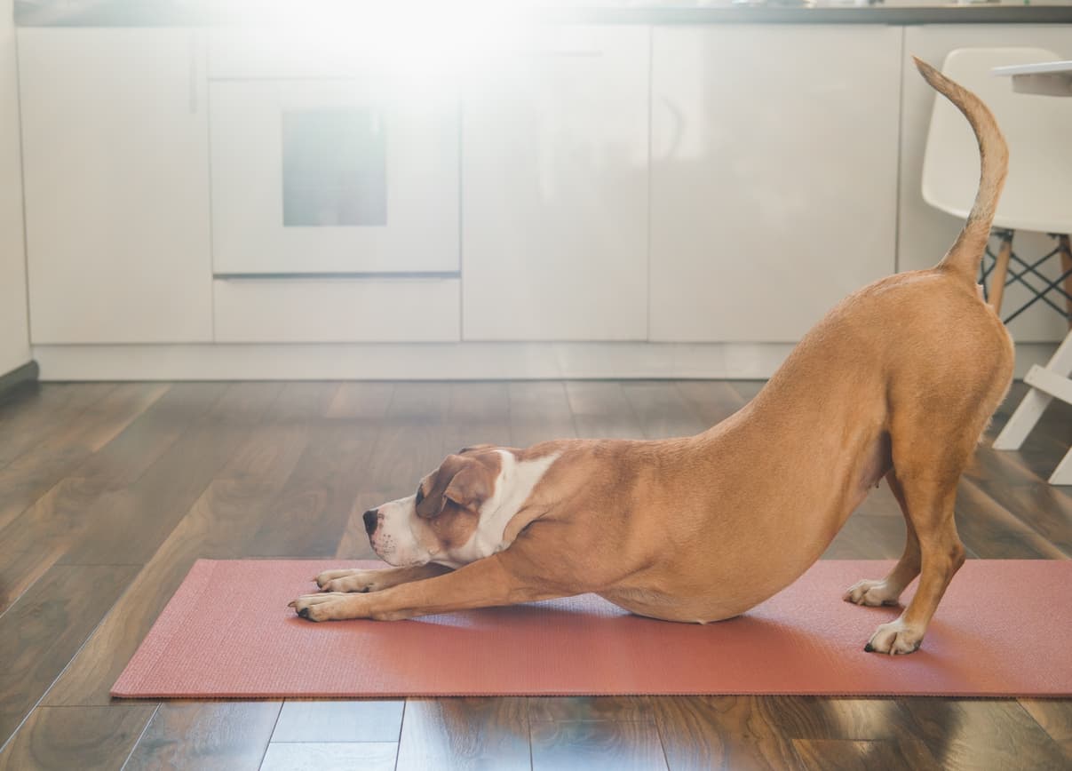 Training Studio case study